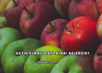Geyik Elması Faydaları Nelerdir?