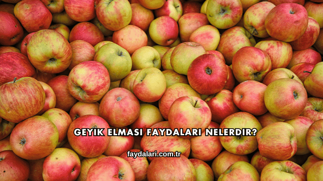 Geyik Elması Faydaları Nelerdir?