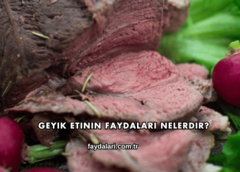 Geyik Etinin Faydaları Nelerdir?