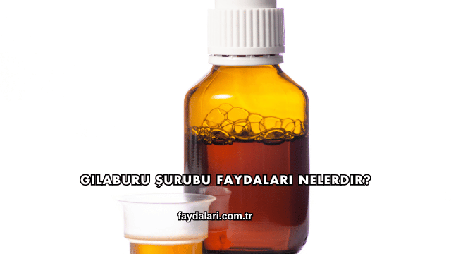 Gilaburu Şurubu Faydaları Nelerdir?