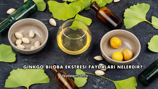 Ginkgo Biloba Ekstresi Faydaları Nelerdir?