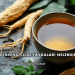 Ginseng Cilde Faydaları Nelerdir?