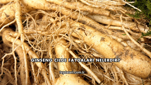 Ginseng Cilde Faydaları Nelerdir?