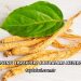 Ginseng Erkeklere Faydaları Nelerdir?