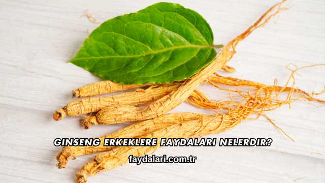 Ginseng Erkeklere Faydaları Nelerdir?