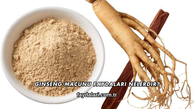 Ginseng Macunu Faydaları Nelerdir?