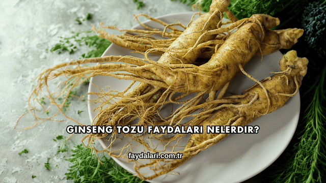 Ginseng Tozu Faydaları Nelerdir?