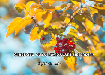 Girebolu Suyu Faydaları Nelerdir?