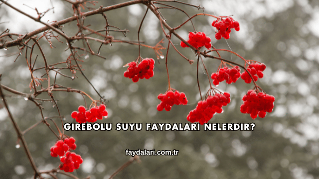 Girebolu Suyu Faydaları Nelerdir?