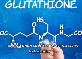 Glutatyonun Cilde Faydaları Nelerdir?