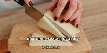 Göbeğin Faydaları Nelerdir?