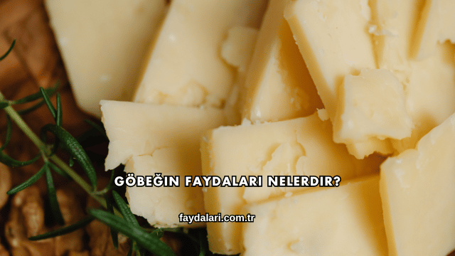 Göbeğin Faydaları Nelerdir?