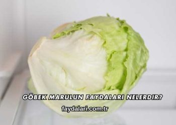 Göbek Marulun Faydaları Nelerdir?