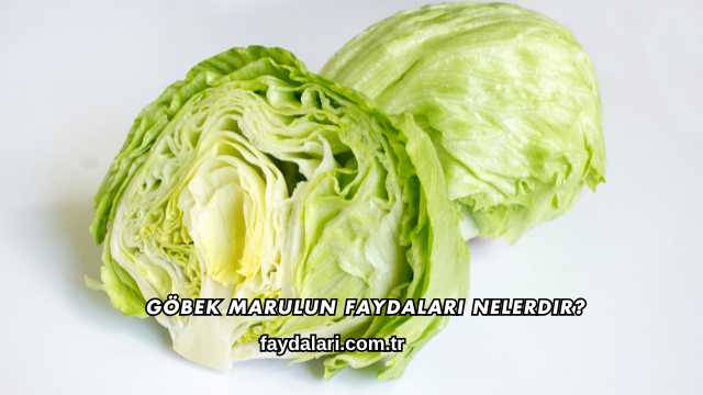 Göbek Marulun Faydaları Nelerdir?