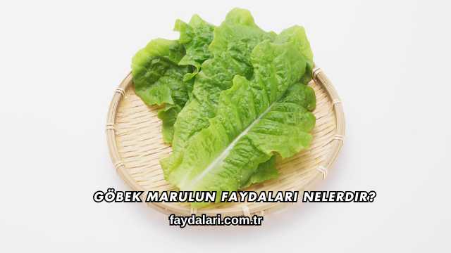 Göbek Marulun Faydaları Nelerdir?