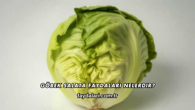 Göbek Salata Faydaları Nelerdir?