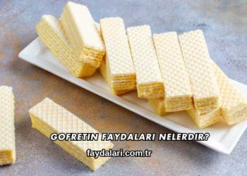 Gofretin Faydaları Nelerdir?
