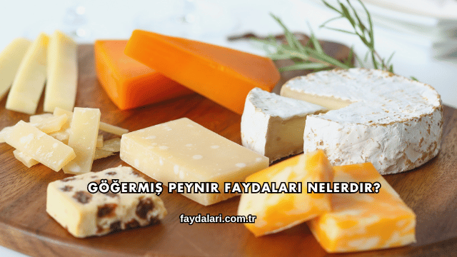 Göğermiş Peynir Faydaları Nelerdir?