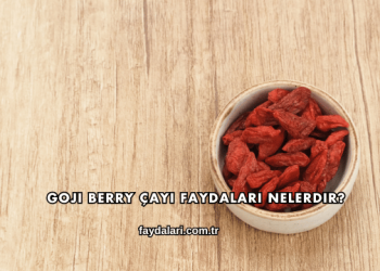 Goji Berry Çayı Faydaları Nelerdir?