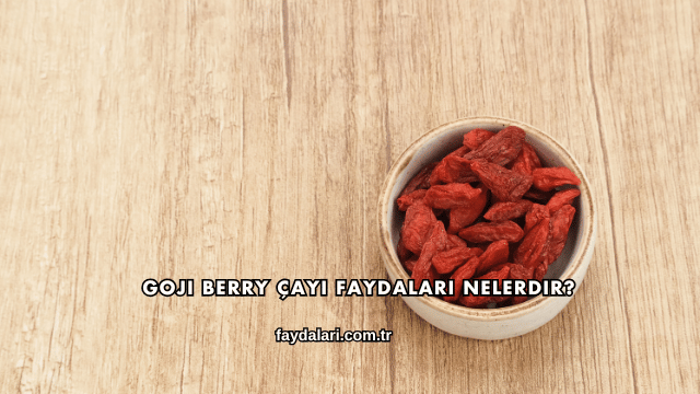 Goji Berry Çayı Faydaları Nelerdir?