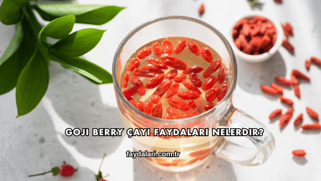 Goji Berry Çayı Faydaları Nelerdir?