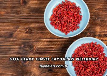 Goji Berry Cinsel Faydaları Nelerdir?