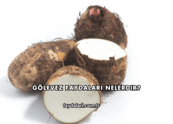 Gölevez Faydaları Nelerdir?