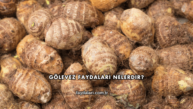 Gölevez Faydaları Nelerdir?
