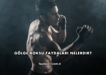 Gölge Boksu Faydaları Nelerdir?