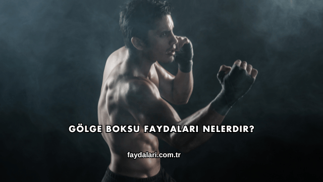 Gölge Boksu Faydaları Nelerdir?