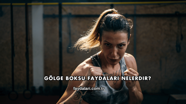 Gölge Boksu Faydaları Nelerdir?