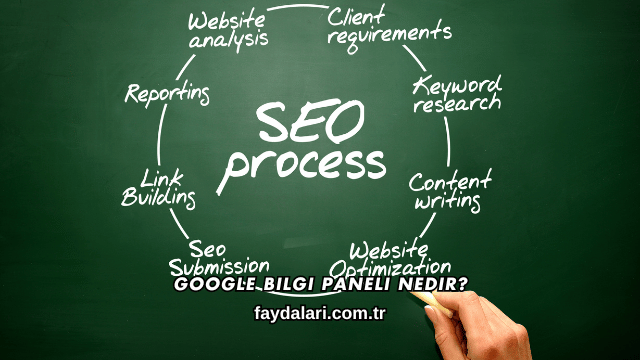 Google Bilgi Paneli Nedir?