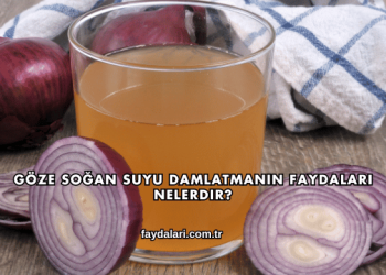 Göze Soğan Suyu Damlatmanın Faydaları Nelerdir?