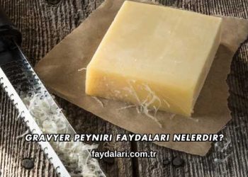 Gravyer Peyniri Faydaları Nelerdir?