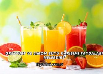 Greyfurt ve Limon Suyu Karışımı Faydaları Nelerdir?