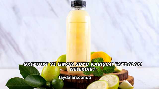 Greyfurt ve Limon Suyu Karışımı Faydaları Nelerdir?