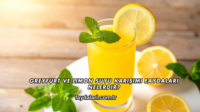 Greyfurt ve Limon Suyu Karışımı Faydaları Nelerdir?