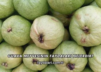 Guava Meyvesinin Faydaları Nelerdir?