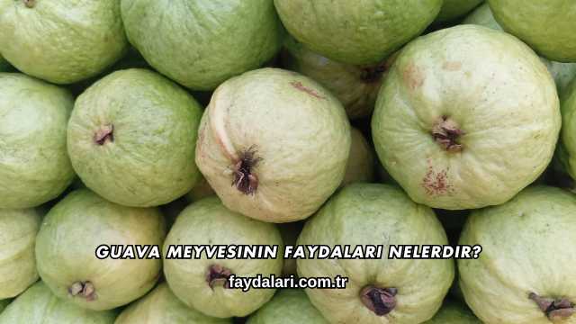 Guava Meyvesinin Faydaları Nelerdir?