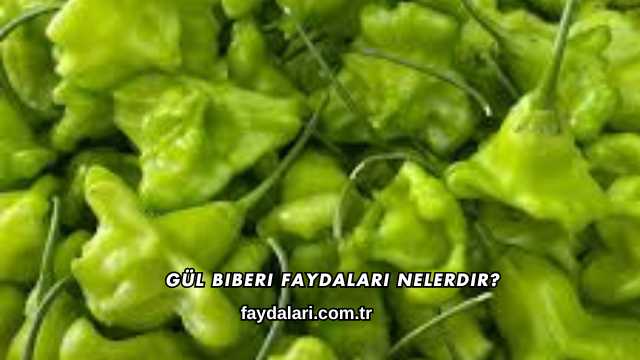 Gül Biberi Faydaları Nelerdir?