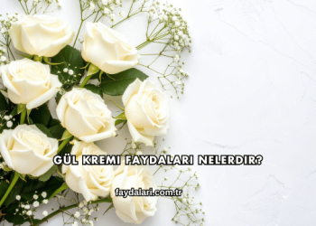 Gül Kremi Faydaları Nelerdir?