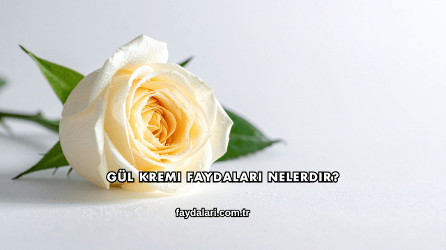 Gül Kremi Faydaları Nelerdir?