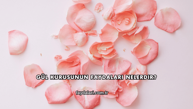 Gül Kurusunun Faydaları Nelerdir?