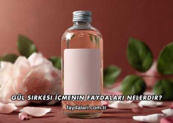 Gül Sirkesi İçmenin Faydaları Nelerdir?