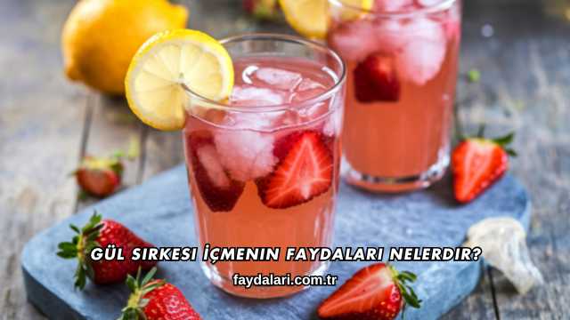 Gül Sirkesi İçmenin Faydaları Nelerdir?