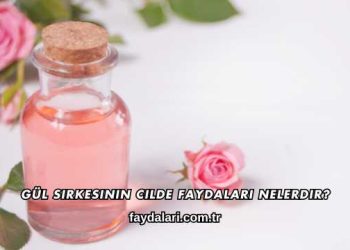 Gül Sirkesinin Cilde Faydaları Nelerdir?