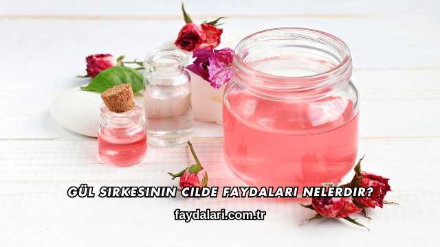 Gül Sirkesinin Cilde Faydaları Nelerdir?