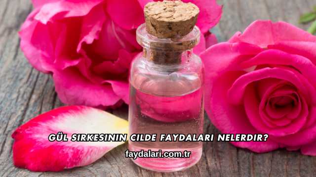 Gül Sirkesinin Cilde Faydaları Nelerdir?
