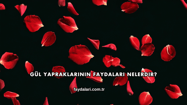 Gül Yapraklarının Faydaları Nelerdir?
