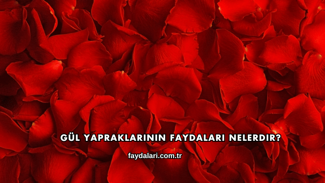 Gül Yapraklarının Faydaları Nelerdir?